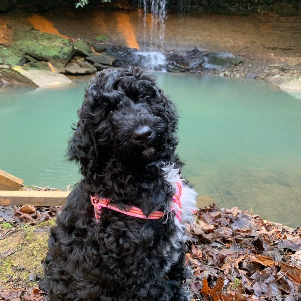 Meet your Posher, Melinda